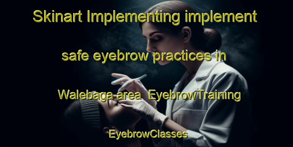 Skinart Implementing implement safe eyebrow practices in Walebaga area | EyebrowTraining | EyebrowClasses | SkinartTraining-Nigeria