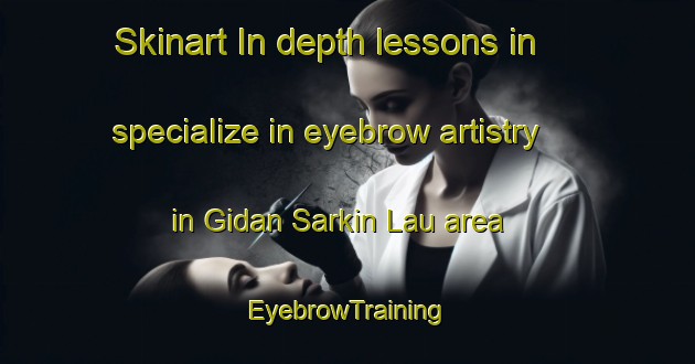 Skinart In-depth lessons in specialize in eyebrow artistry in Gidan Sarkin Lau area | EyebrowTraining | EyebrowClasses | SkinartTraining-Nigeria