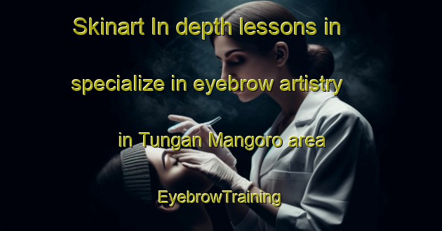 Skinart In-depth lessons in specialize in eyebrow artistry in Tungan Mangoro area | EyebrowTraining | EyebrowClasses | SkinartTraining-Nigeria