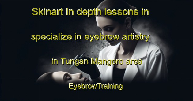 Skinart In-depth lessons in specialize in eyebrow artistry in Tungan Mangoro area | EyebrowTraining | EyebrowClasses | SkinartTraining-Nigeria