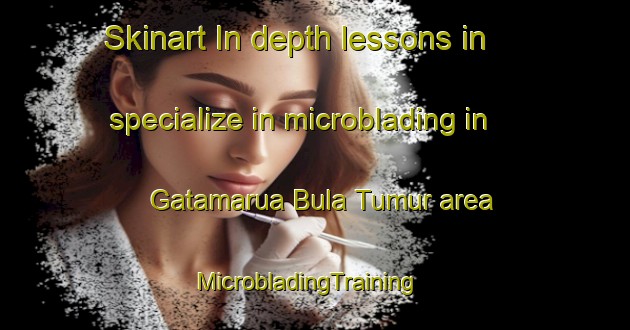 Skinart In-depth lessons in specialize in microblading in Gatamarua Bula Tumur area | MicrobladingTraining | MicrobladingClasses | SkinartTraining-Nigeria