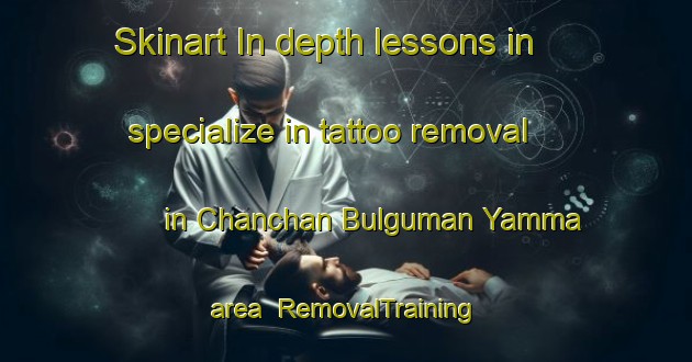 Skinart In-depth lessons in specialize in tattoo removal in Chanchan Bulguman Yamma area | RemovalTraining | RemovalClasses | SkinartTraining-Nigeria