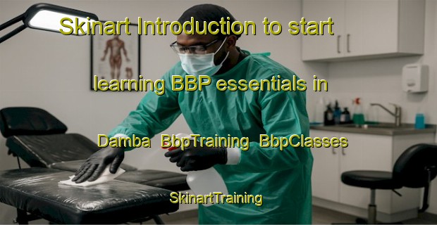 Skinart Introduction to start learning BBP essentials in Damba | BbpTraining | BbpClasses | SkinartTraining-Nigeria