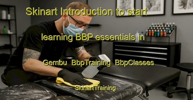 Skinart Introduction to start learning BBP essentials in Gembu | BbpTraining | BbpClasses | SkinartTraining-Nigeria