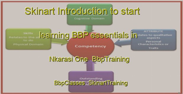 Skinart Introduction to start learning BBP essentials in Nkarasi One | BbpTraining | BbpClasses | SkinartTraining-Nigeria