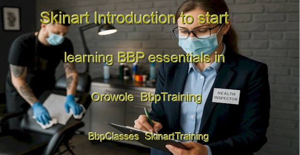 Skinart Introduction to start learning BBP essentials in Orowole | BbpTraining | BbpClasses | SkinartTraining-Nigeria