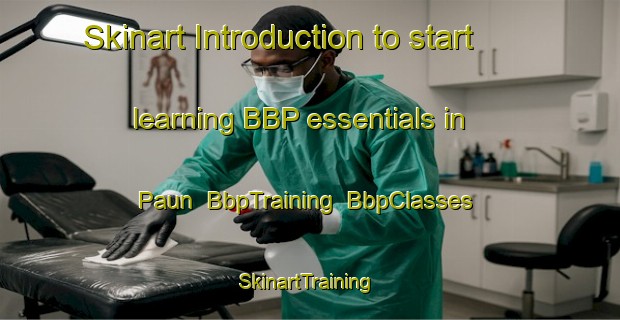 Skinart Introduction to start learning BBP essentials in Paun | BbpTraining | BbpClasses | SkinartTraining-Nigeria