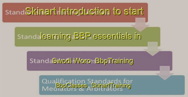 Skinart Introduction to start learning BBP essentials in Swodi Woro | BbpTraining | BbpClasses | SkinartTraining-Nigeria