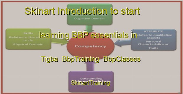 Skinart Introduction to start learning BBP essentials in Tigba | BbpTraining | BbpClasses | SkinartTraining-Nigeria