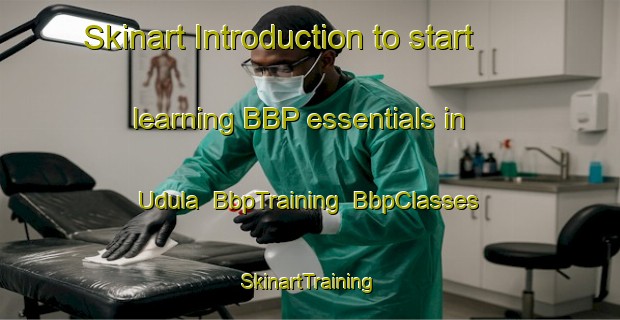 Skinart Introduction to start learning BBP essentials in Udula | BbpTraining | BbpClasses | SkinartTraining-Nigeria