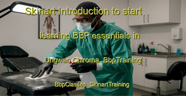 Skinart Introduction to start learning BBP essentials in Ungwan Chiroma | BbpTraining | BbpClasses | SkinartTraining-Nigeria