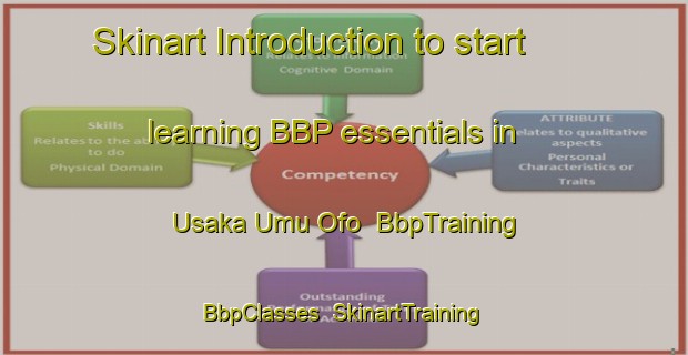 Skinart Introduction to start learning BBP essentials in Usaka Umu Ofo | BbpTraining | BbpClasses | SkinartTraining-Nigeria