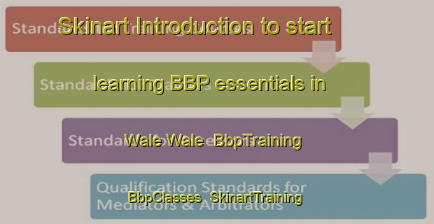 Skinart Introduction to start learning BBP essentials in Wale Wale | BbpTraining | BbpClasses | SkinartTraining-Nigeria