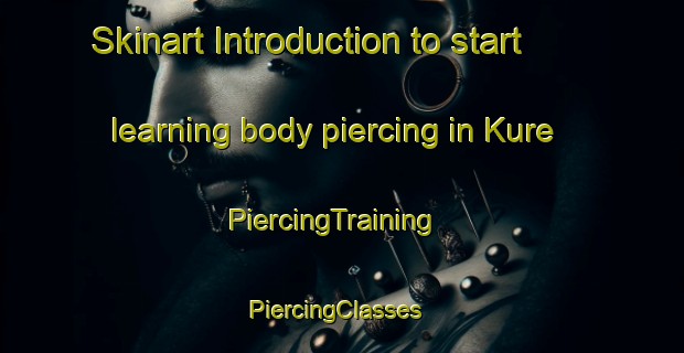 Skinart Introduction to start learning body piercing in Kure | PiercingTraining | PiercingClasses | SkinartTraining-Nigeria