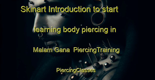 Skinart Introduction to start learning body piercing in Malam Gana | PiercingTraining | PiercingClasses | SkinartTraining-Nigeria
