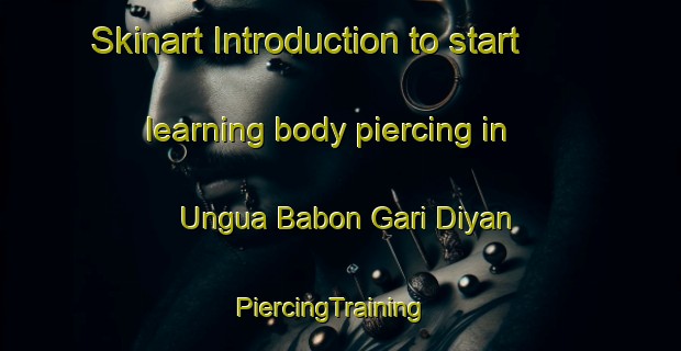 Skinart Introduction to start learning body piercing in Ungua Babon Gari Diyan | PiercingTraining | PiercingClasses | SkinartTraining-Nigeria