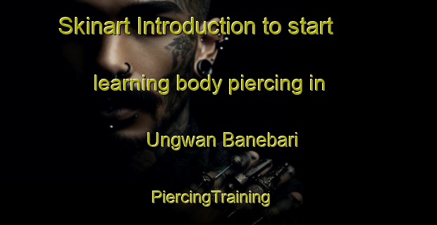 Skinart Introduction to start learning body piercing in Ungwan Banebari | PiercingTraining | PiercingClasses | SkinartTraining-Nigeria