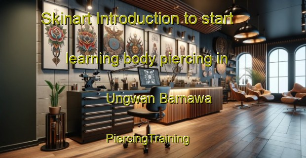Skinart Introduction to start learning body piercing in Ungwan Barnawa | PiercingTraining | PiercingClasses | SkinartTraining-Nigeria