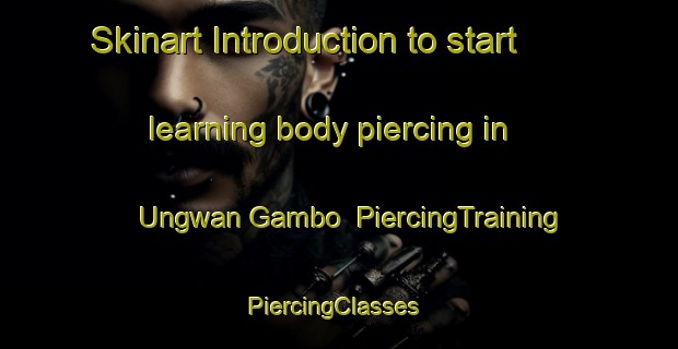 Skinart Introduction to start learning body piercing in Ungwan Gambo | PiercingTraining | PiercingClasses | SkinartTraining-Nigeria