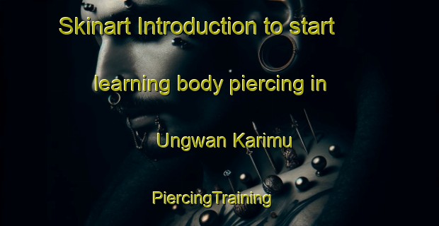 Skinart Introduction to start learning body piercing in Ungwan Karimu | PiercingTraining | PiercingClasses | SkinartTraining-Nigeria