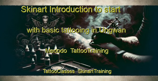 Skinart Introduction to start with basic tattooing in Ungwan Medodo | TattooTraining | TattooClasses | SkinartTraining-Nigeria