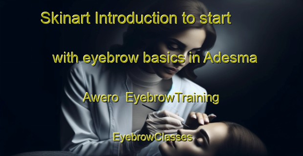 Skinart Introduction to start with eyebrow basics in Adesma Awero | EyebrowTraining | EyebrowClasses | SkinartTraining-Nigeria