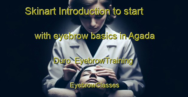 Skinart Introduction to start with eyebrow basics in Agada Duro | EyebrowTraining | EyebrowClasses | SkinartTraining-Nigeria