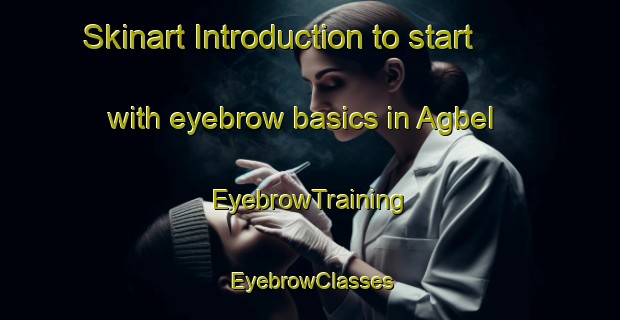 Skinart Introduction to start with eyebrow basics in Agbel | EyebrowTraining | EyebrowClasses | SkinartTraining-Nigeria