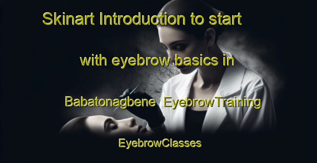 Skinart Introduction to start with eyebrow basics in Babatonagbene | EyebrowTraining | EyebrowClasses | SkinartTraining-Nigeria