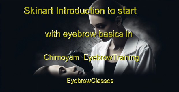 Skinart Introduction to start with eyebrow basics in Chimoyam | EyebrowTraining | EyebrowClasses | SkinartTraining-Nigeria