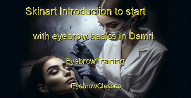 Skinart Introduction to start with eyebrow basics in Damri | EyebrowTraining | EyebrowClasses | SkinartTraining-Nigeria