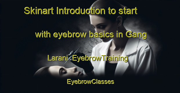Skinart Introduction to start with eyebrow basics in Gang Larani | EyebrowTraining | EyebrowClasses | SkinartTraining-Nigeria