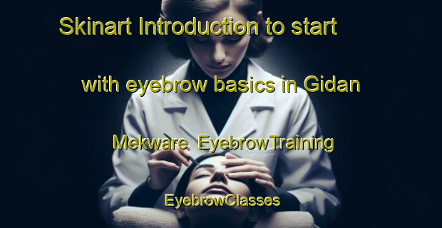 Skinart Introduction to start with eyebrow basics in Gidan Mekware | EyebrowTraining | EyebrowClasses | SkinartTraining-Nigeria