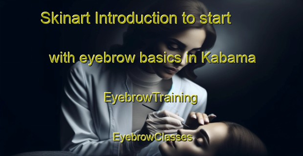 Skinart Introduction to start with eyebrow basics in Kabama | EyebrowTraining | EyebrowClasses | SkinartTraining-Nigeria