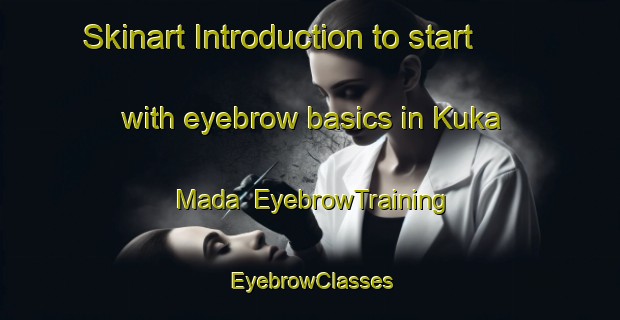 Skinart Introduction to start with eyebrow basics in Kuka Mada | EyebrowTraining | EyebrowClasses | SkinartTraining-Nigeria