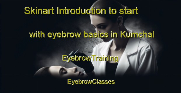 Skinart Introduction to start with eyebrow basics in Kumchal | EyebrowTraining | EyebrowClasses | SkinartTraining-Nigeria