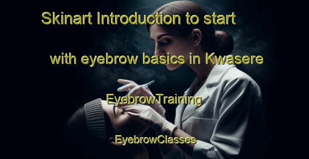 Skinart Introduction to start with eyebrow basics in Kwasere | EyebrowTraining | EyebrowClasses | SkinartTraining-Nigeria