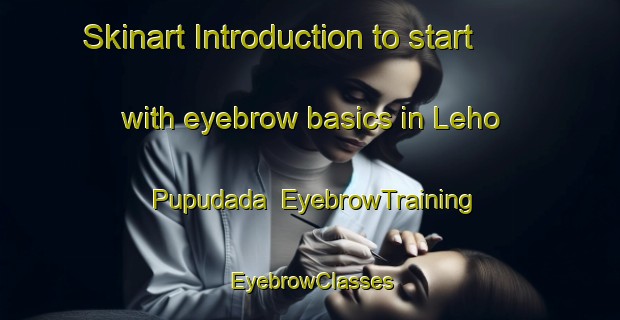 Skinart Introduction to start with eyebrow basics in Leho Pupudada | EyebrowTraining | EyebrowClasses | SkinartTraining-Nigeria