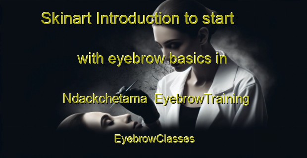 Skinart Introduction to start with eyebrow basics in Ndackchetama | EyebrowTraining | EyebrowClasses | SkinartTraining-Nigeria