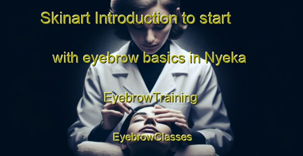 Skinart Introduction to start with eyebrow basics in Nyeka | EyebrowTraining | EyebrowClasses | SkinartTraining-Nigeria
