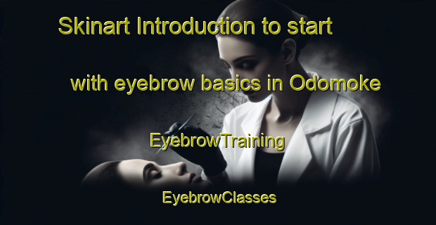 Skinart Introduction to start with eyebrow basics in Odomoke | EyebrowTraining | EyebrowClasses | SkinartTraining-Nigeria