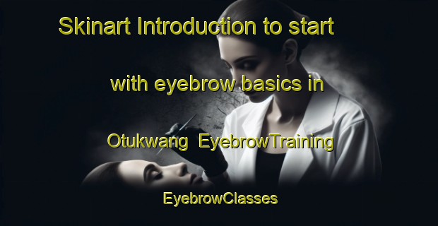 Skinart Introduction to start with eyebrow basics in Otukwang | EyebrowTraining | EyebrowClasses | SkinartTraining-Nigeria