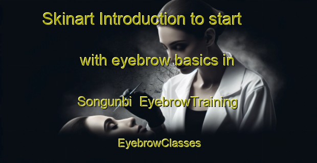 Skinart Introduction to start with eyebrow basics in Songunbi | EyebrowTraining | EyebrowClasses | SkinartTraining-Nigeria