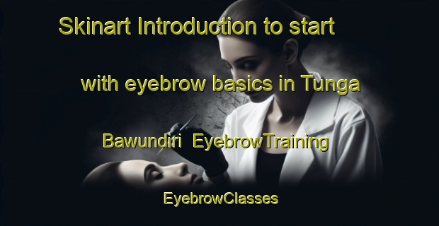 Skinart Introduction to start with eyebrow basics in Tunga Bawundiri | EyebrowTraining | EyebrowClasses | SkinartTraining-Nigeria