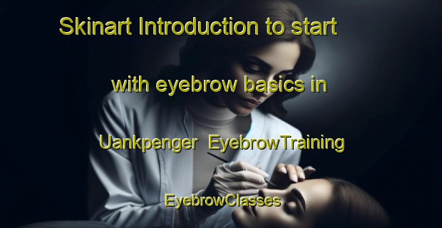 Skinart Introduction to start with eyebrow basics in Uankpenger | EyebrowTraining | EyebrowClasses | SkinartTraining-Nigeria