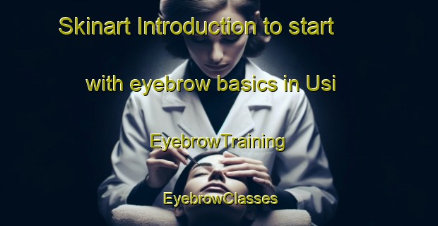 Skinart Introduction to start with eyebrow basics in Usi | EyebrowTraining | EyebrowClasses | SkinartTraining-Nigeria