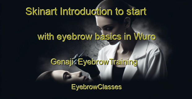 Skinart Introduction to start with eyebrow basics in Wuro Genaji | EyebrowTraining | EyebrowClasses | SkinartTraining-Nigeria