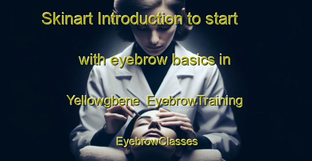 Skinart Introduction to start with eyebrow basics in Yellowgbene | EyebrowTraining | EyebrowClasses | SkinartTraining-Nigeria