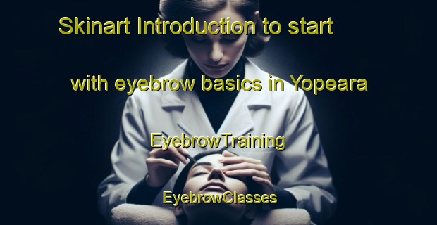 Skinart Introduction to start with eyebrow basics in Yopeara | EyebrowTraining | EyebrowClasses | SkinartTraining-Nigeria