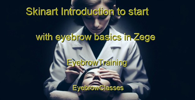 Skinart Introduction to start with eyebrow basics in Zege | EyebrowTraining | EyebrowClasses | SkinartTraining-Nigeria